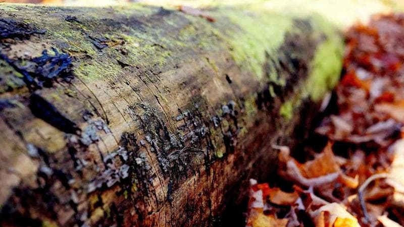 La importancia de un contrato bien redactado