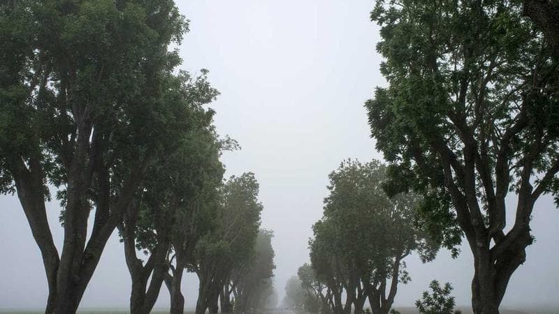 Cómo tramitar un divorcio en Ciudad de México